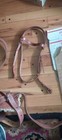 Horse Head Stall Leather -cribbing Collar