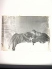 Glass Negative  Baby Laying On Pillows  4 75  X 6 5 