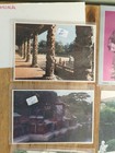 China Postcard  lot Of 14  Vintage Unsent Chinese Postcards Rare