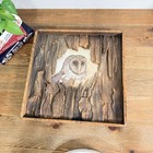 Vintage Rustic Owl Art In Wooden Bark Framed Art Cabin Decor