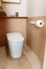 953925 Drea Wall-mounted Toilet Paper Holder - Brushed Gold