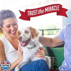 Nature   s Miracle Stain And Odor Remover Dog 1 33 Gallons  Odor Control Formul