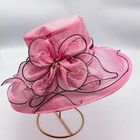 Women s Hat For Kentucky Derby Church Wedding Tea Party Outdoor Free Shipping