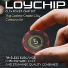 200 Poker Chip Set 14g Clay Composite W case Cards Dealer Buttons Texas Holdem