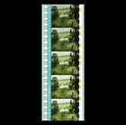 Hobbit   Unexpected Journey - The Shire - 35mm 5 Cell Film Strip 294