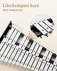 Advanced 32 Note Glockenspiel Xylophone Bell Kit Beginner Students  Percussion K