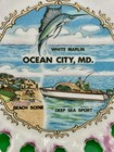 Vintage Ocean City Maryland Souvenir Plate Decor 6   