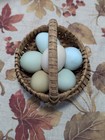 Vintage Child Size Egg Gathering Basket Splint Wood Buttocks Basket Six-egger     