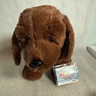 Ganz 2026 Webkinz Next Chocolate Lab New Wk000031 Dual 2 Adoption Codes Gen3