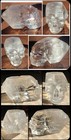 Cathedral Lightbrary Quartz Skull Point 2 Lbs