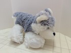 Webkinz Husky Puppy Dog 8  Ganz Plush Stuffed Animal Toy Hm120 No Code