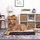 Vibrant Life Orthopedic Bed Mattress Edition Dog Bed  Large  40 x30   Up To 70