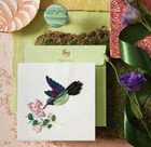 Niquea d Personalized Blank Card  Hummingbird  nbl-0018 