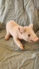 Vintage Hansa Pig Plush Realistic Stuffed Animal Toy 2001 Nwt 8 Inch B 2
