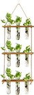 Wall Hanging Propagation Station With Wooden Stand Glass  Tubes Tiered Plante   