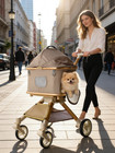 Pet Stroller Dog Stroller Foldable Stroller For Cat Upto 55lbs Detachabl Carrier