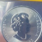Canada 2019 Fine Silver  9999 Polar Bear Commemorative Coin  1 4 Oz  1 2 Oz 
