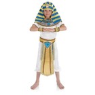 Boys Egyptian Pharaoh Costume   Headpiece M - Xl Kids King Of Egypt Halloween