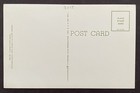 Florida Seminole Indians Native Surroundings Divided Back Litho Postcard