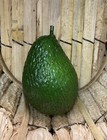 Artificial Fake Food Vegetable Avocado    Garden Farm Produce Display Prop Vavc