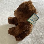 Vintage Applause Brown Teddy Bear Plush Stuffed Animal Plushie Nwt Tag
