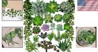 Artificial Succulents Plants Fake Succulent Garden Centerpiece Indoor Outdoor   