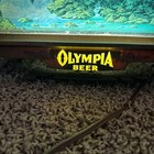 Vtg Olympia Beer Lighted Motion Waterfall Sign Cash Register Topper Works