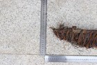 A Lot Of Western Electric Copper Cloth Wire For Tube Amplifier  l9 