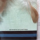 Lakota Sioux Dream Catcher Authentic St  Joseph s Indian School New Free Ship