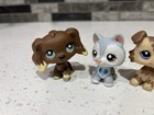 Littlest Pet Shop Lps Collie Brown   More Lot Of 5  4 Are Fake   read 