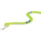 12 Rain Forest Rubber Snakes 14  Realistic With Scales Free Shipping  Gag Gift