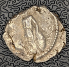 Pamphylia  Side  ca  400-380 Bc  Silver Stater  Athena apollo