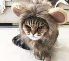 Furry Lion Hair Mane Dog   Cat Hat W  Ears Cute Costume Headwear Pet Accessory