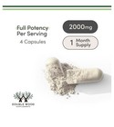 Double Wood Magnesium L-threonate  magtein  2000mg