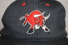 Vintage Tucson Minor League Baseball Cap Hat 