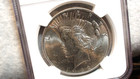 1922 P Peace Dollar Ngc Ms61 Uncirculated  1 Coin Buy It Now 
