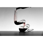 Riedel Boa Wine Decanter - Clear  201301 