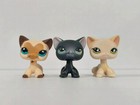 3pcs lot Littlest Pet Shop Figure Lps Short Hair Cat  3573 336 733 Kid Toy