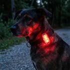 Kong Led Night Safety Light For Running Cycling Dog Rechargeable Clip On