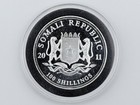 2011 Somalia African Wildlife Elephant  Bu 1 Oz  999 Silver Coin Somali Republic