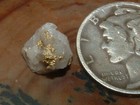 Natural Gold Quartz Specimen  37 Gram Oregon Blue Mtns Gold