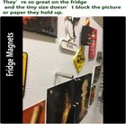 60pcs Small Magnets round For Refrigerator   Cylinder  Fridge 5x3-60  Silver