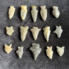 Authentic Arrowhead Common Archaic   Woodland Points From Ohio   Ky  Q1803