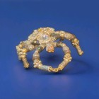 Gold Tone Spider Brooch Pin Clear Round Rhinestone Cluster Beaded Legs