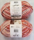 Yarnspirations Bernat Blanket Yarn Dried Flowers 10 5oz 300g Yarn 220yds 2-pack
