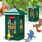 Squirrel Proof Bird Feeder 5 Lbs Capacity For Outdoor Wild Birds  Durable Design