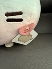Pusheen Rainbow Round Squisheen New With Tags Plush