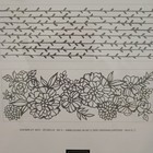 Stampin    Up  Petal Pair Textured Impressions Embossing Folder New Retired