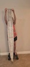 77 Inch Real Rattlesnake Skin With Rattle  Over 8 Inch Wide At Widest  Tanned 