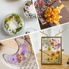 Mini Dried Flowers For Resin 520 Pcs Small Dried Flowers For Crafts Resin Nails